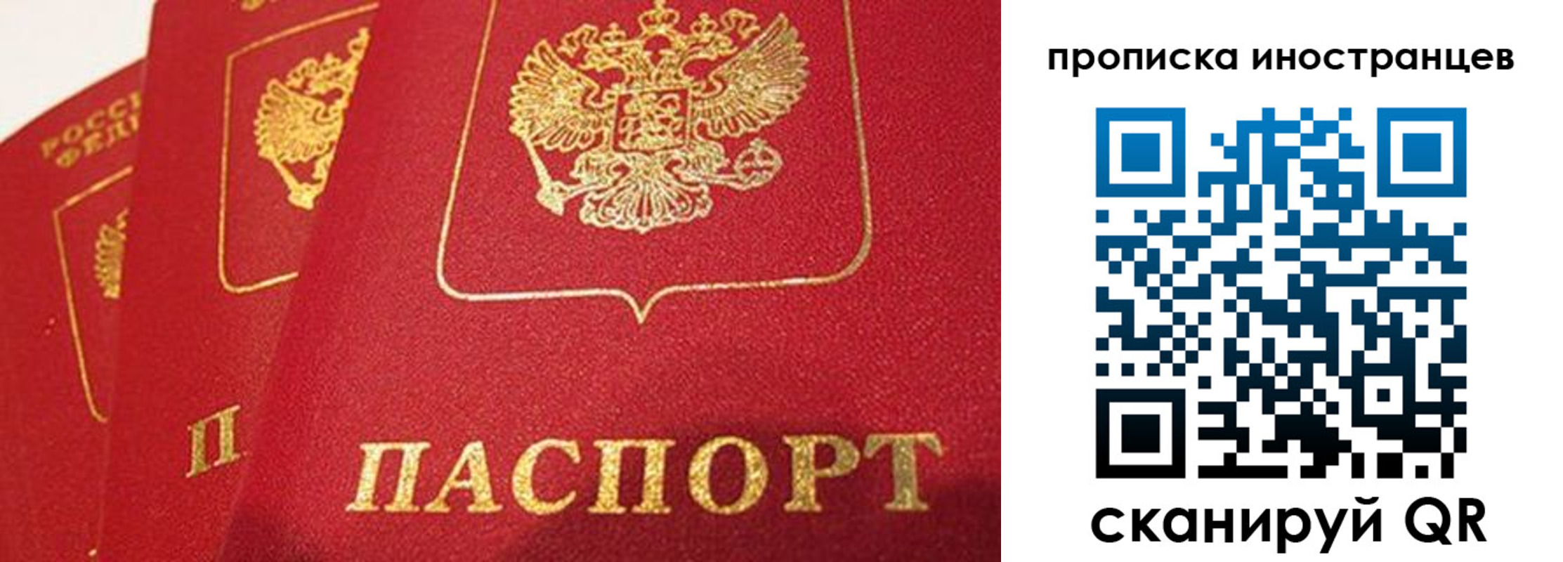 прописка поиск в Зернограде